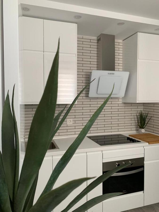 Apartament Almadeconil Conil De La Frontera Zewnętrze zdjęcie